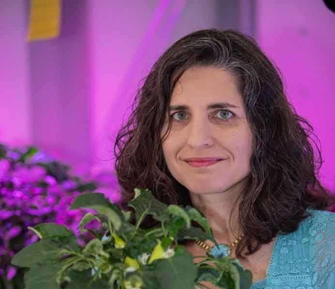 Image of Gioia Massa, Ph.D.